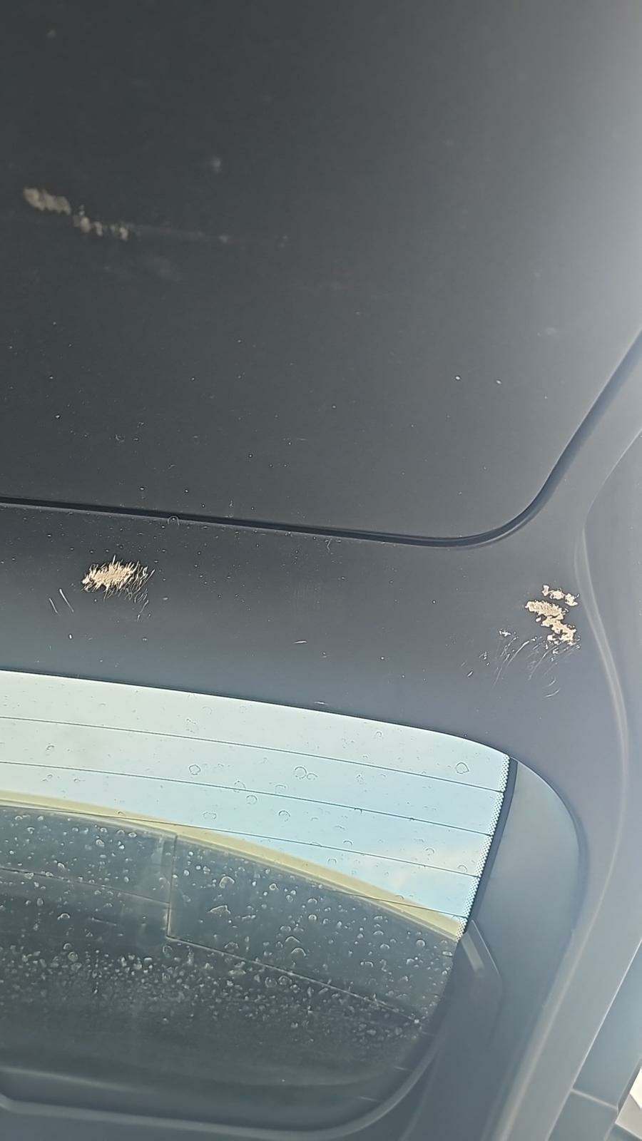 2017 Land Rover Range Rover Evoque SE AWD