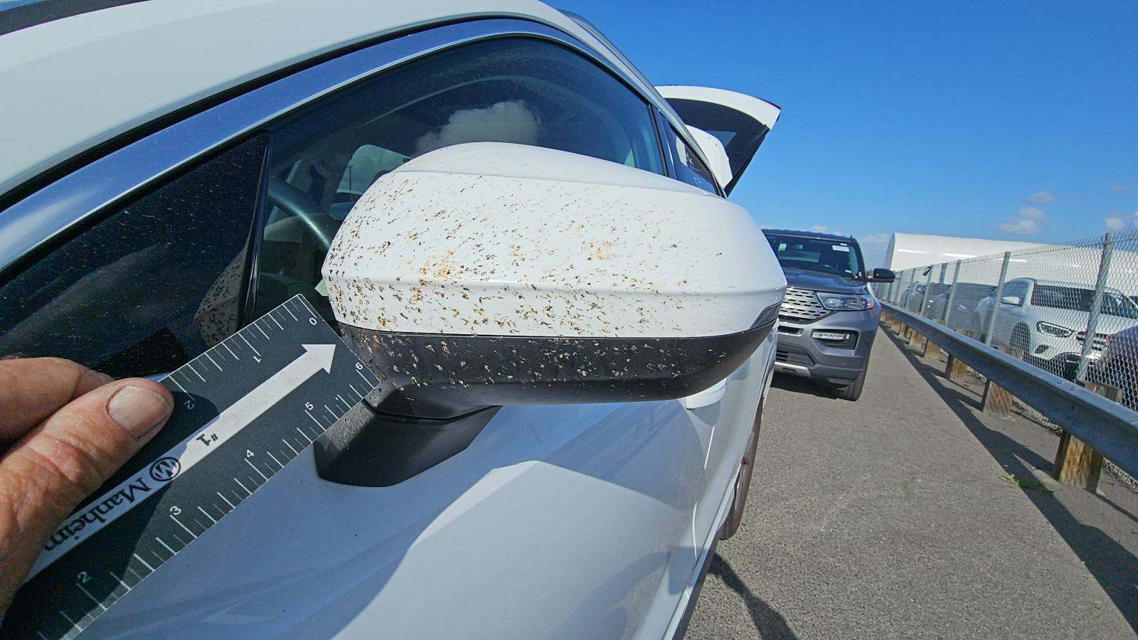 2023 Audi Q3 S line Premium AWD