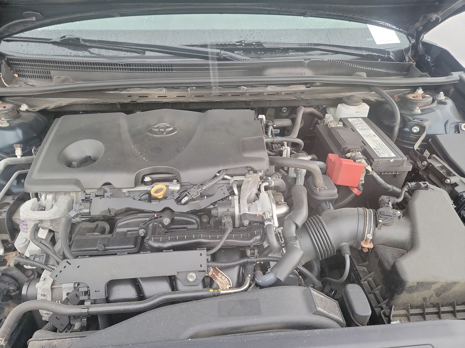 2019 Toyota Camry XLE FWD