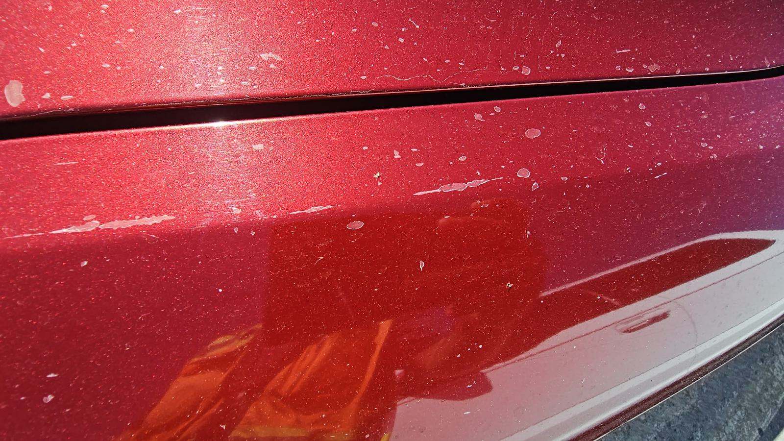 2015 Lexus IS IS 250C RWD