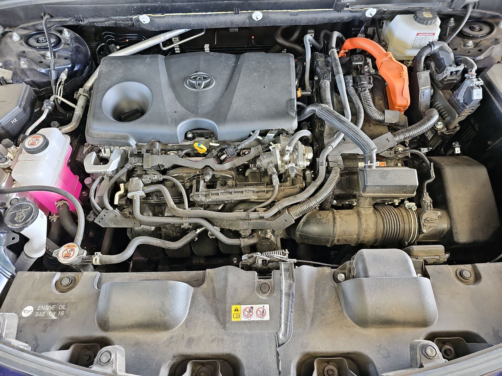 2024 Toyota Venza XLE AWD