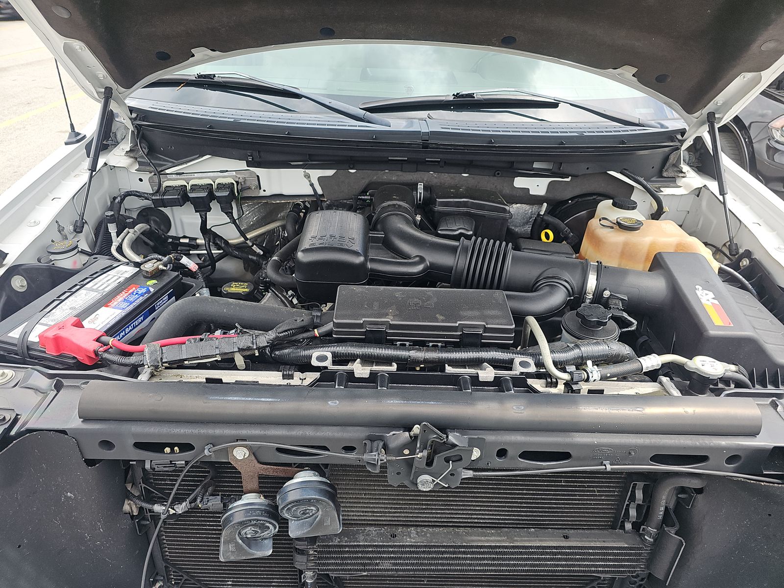 2010 Ford F-150 FX2 RWD