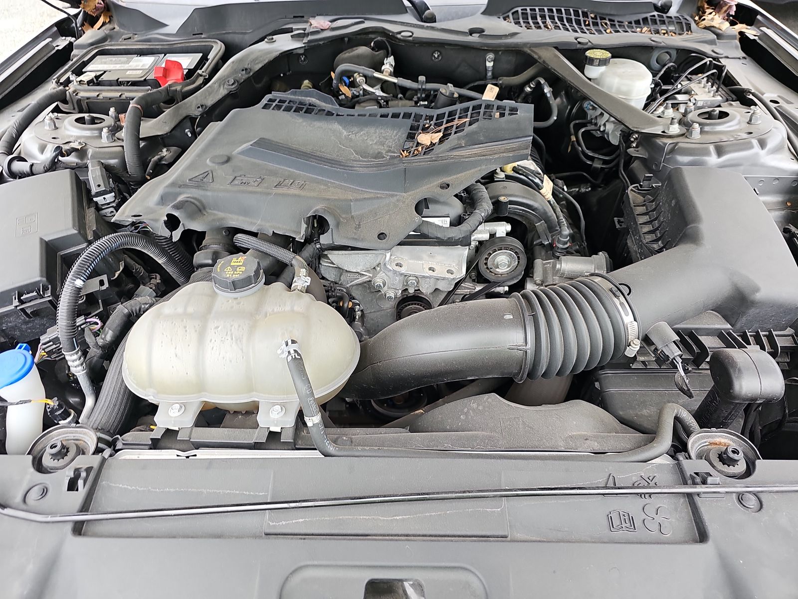 2021 Ford Mustang EcoBoost Premium RWD