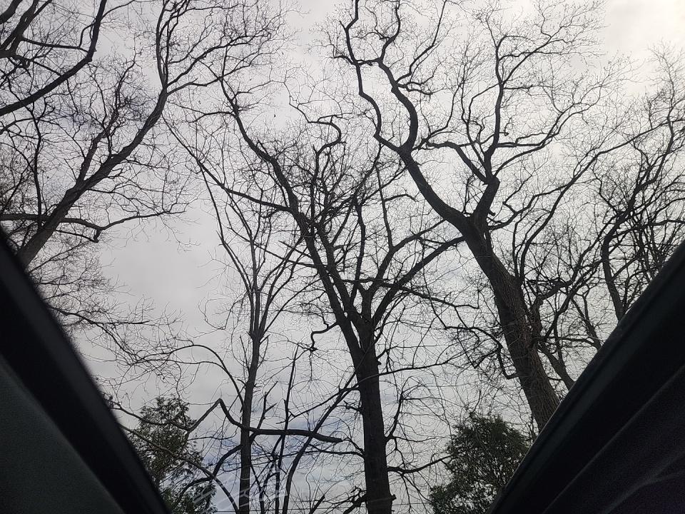 2017 Mercedes-Benz GLE AMG GLE 43 AWD