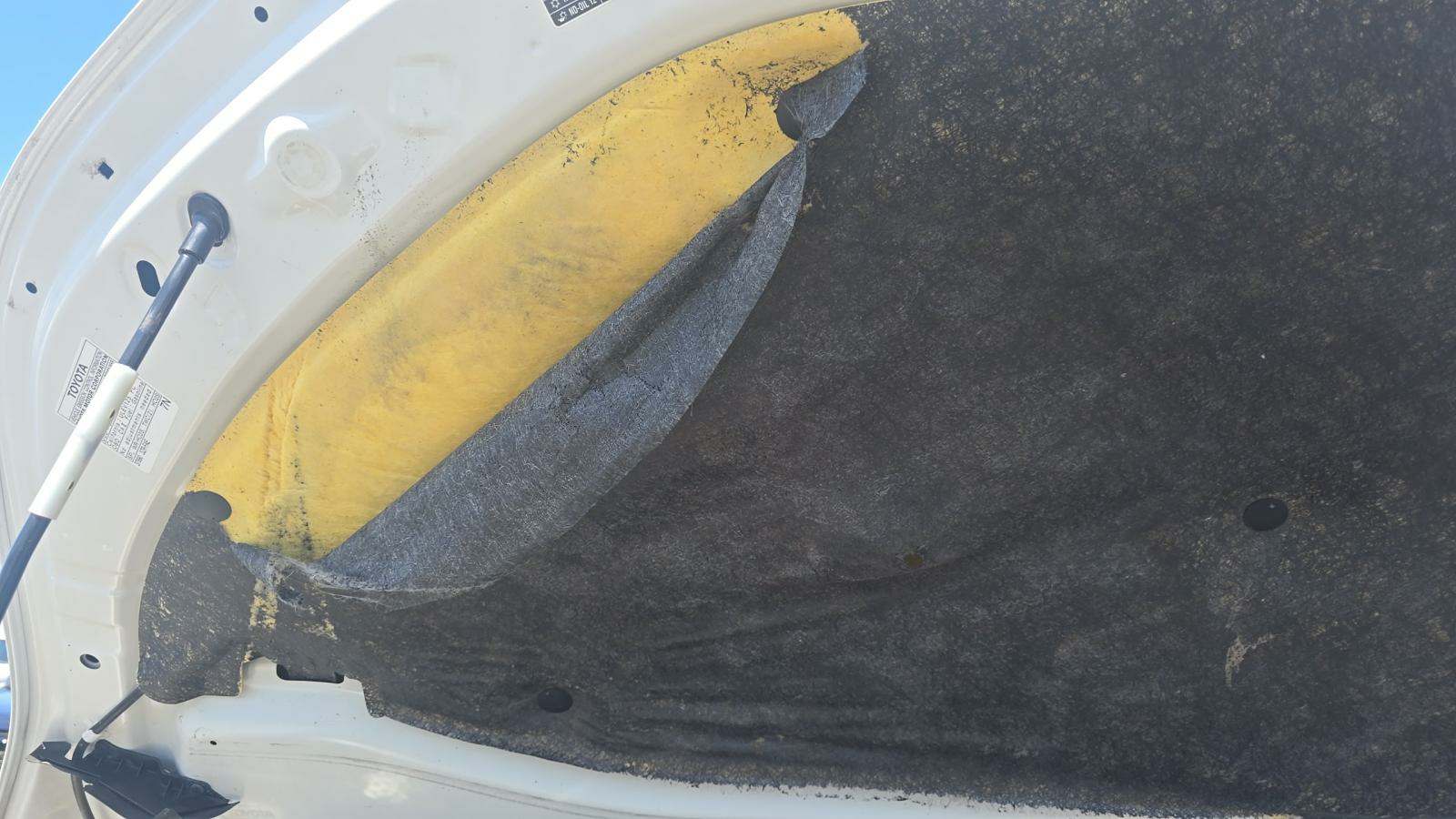 2020 Toyota C-HR XLE FWD