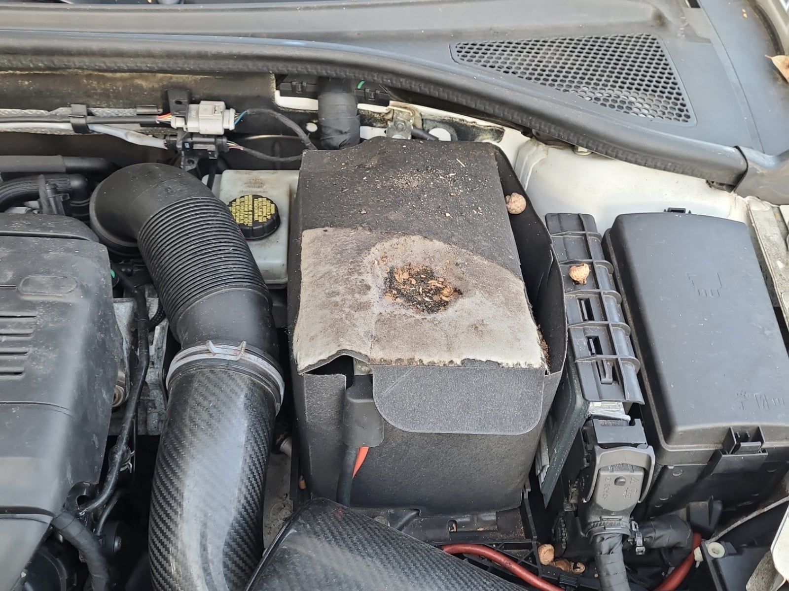 2016 Audi A3 2.0T Premium Plus AWD