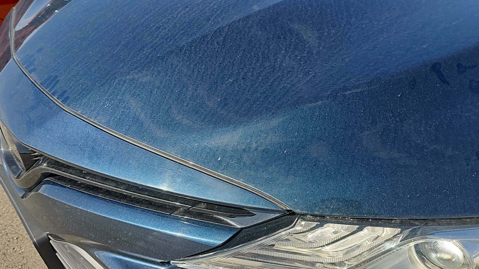 2019 Toyota Camry XLE FWD