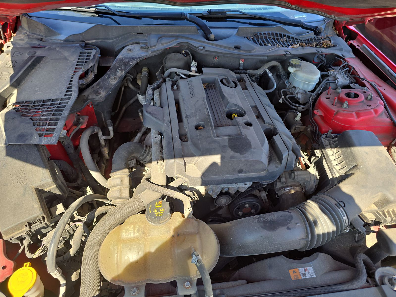 2015 Ford Mustang EcoBoost RWD