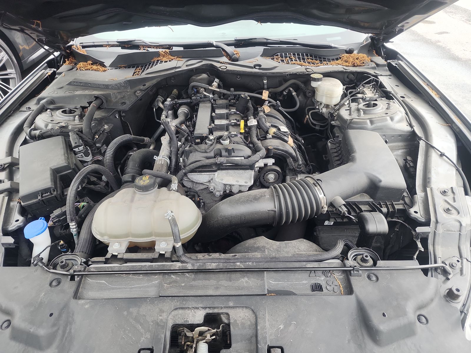 2022 Ford Mustang EcoBoost RWD