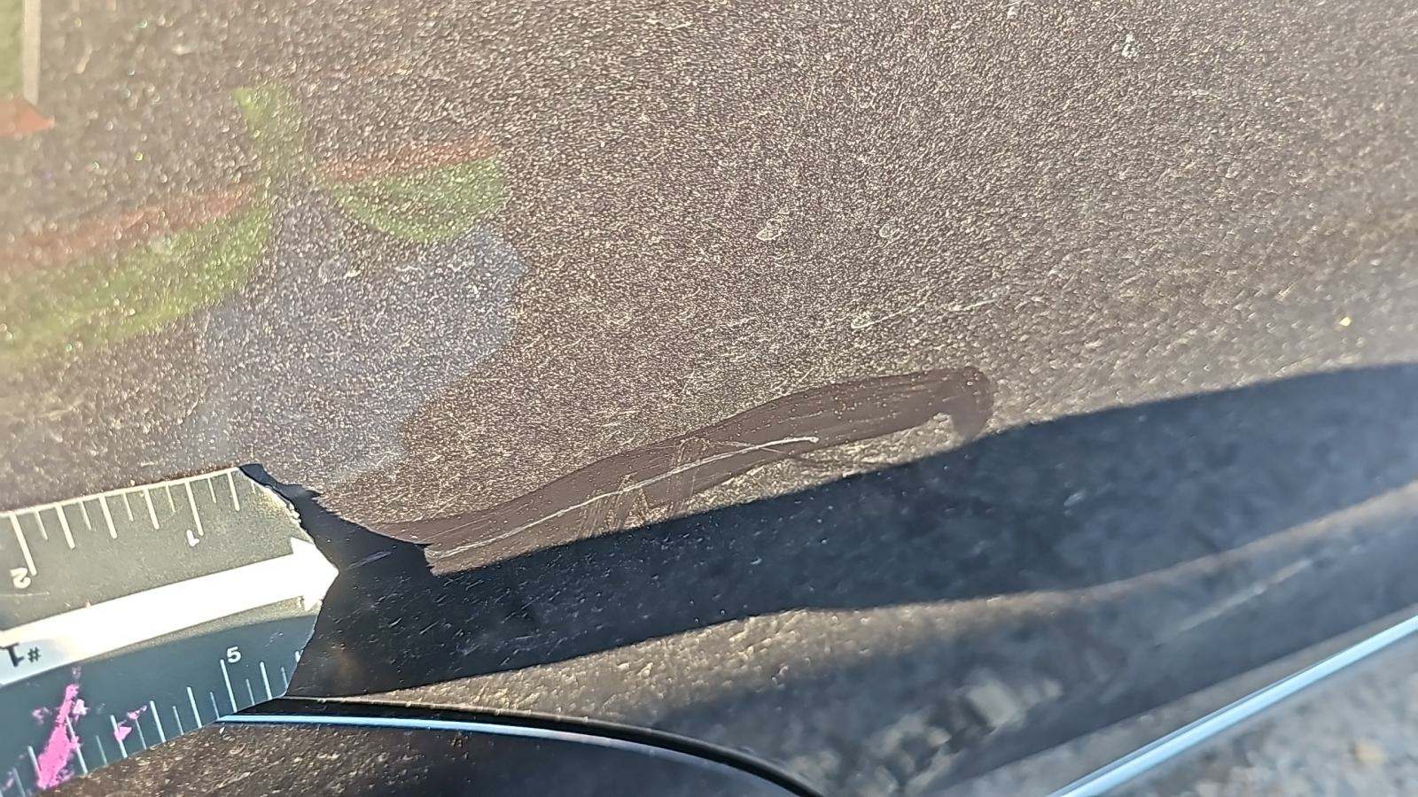 2019 BMW X7 xDrive40i AWD