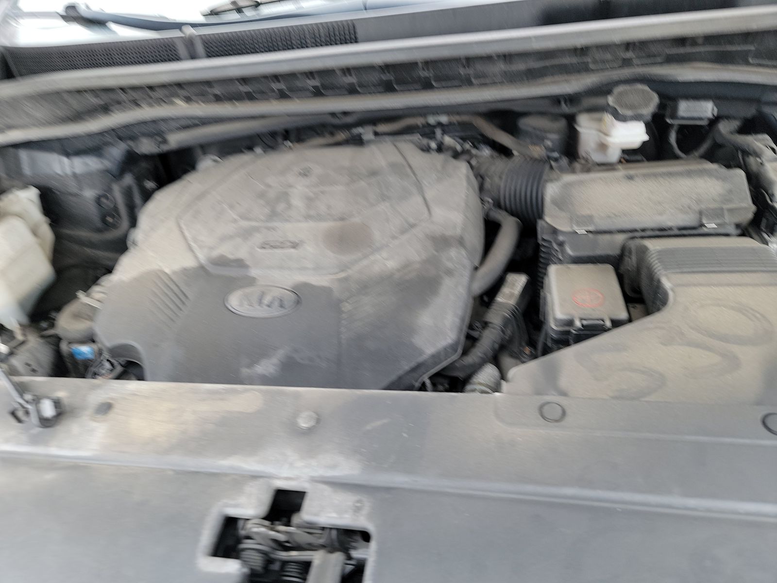 2019 Kia Sedona EX FWD