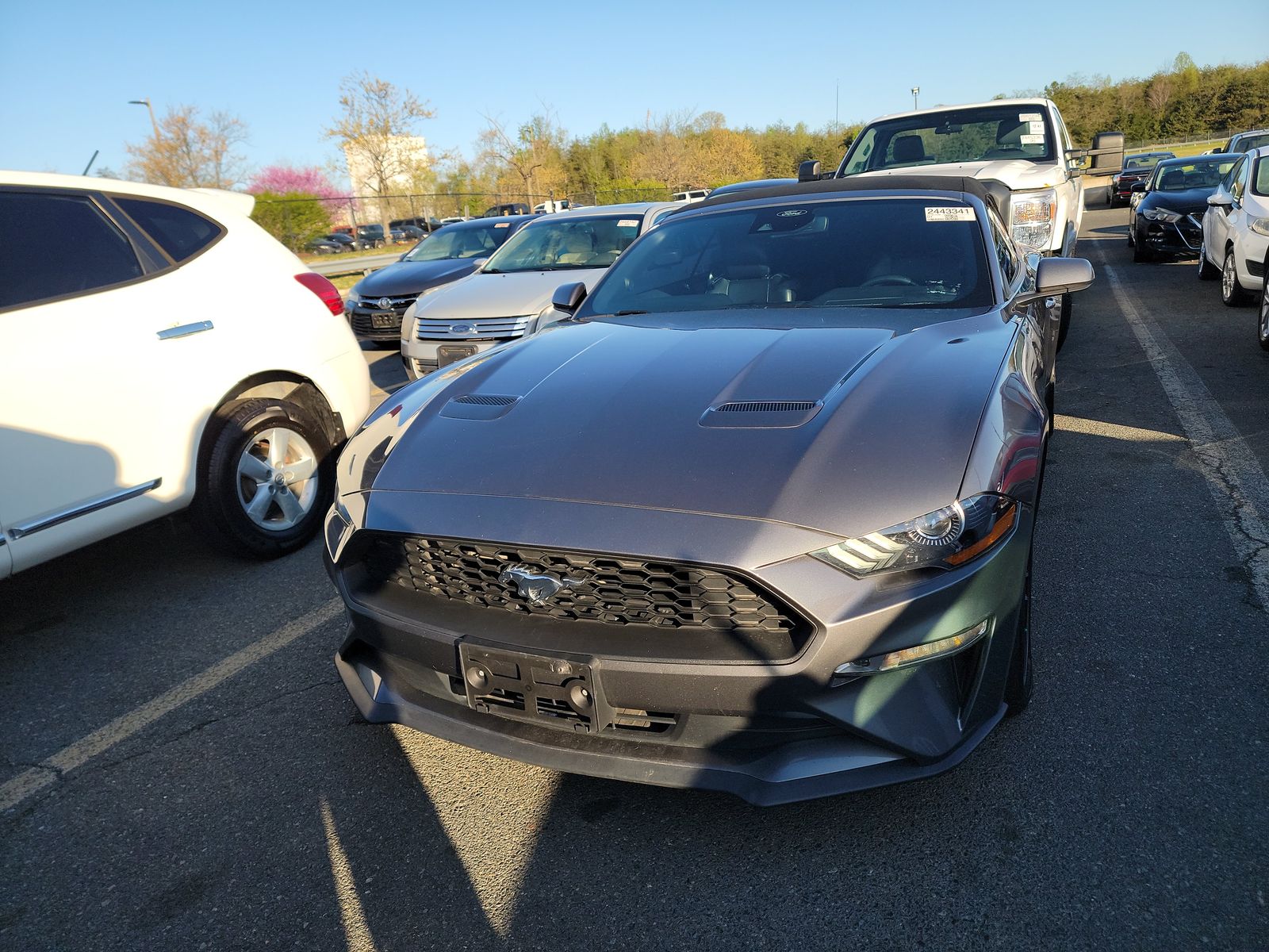 2021 Ford Mustang EcoBoost Premium RWD