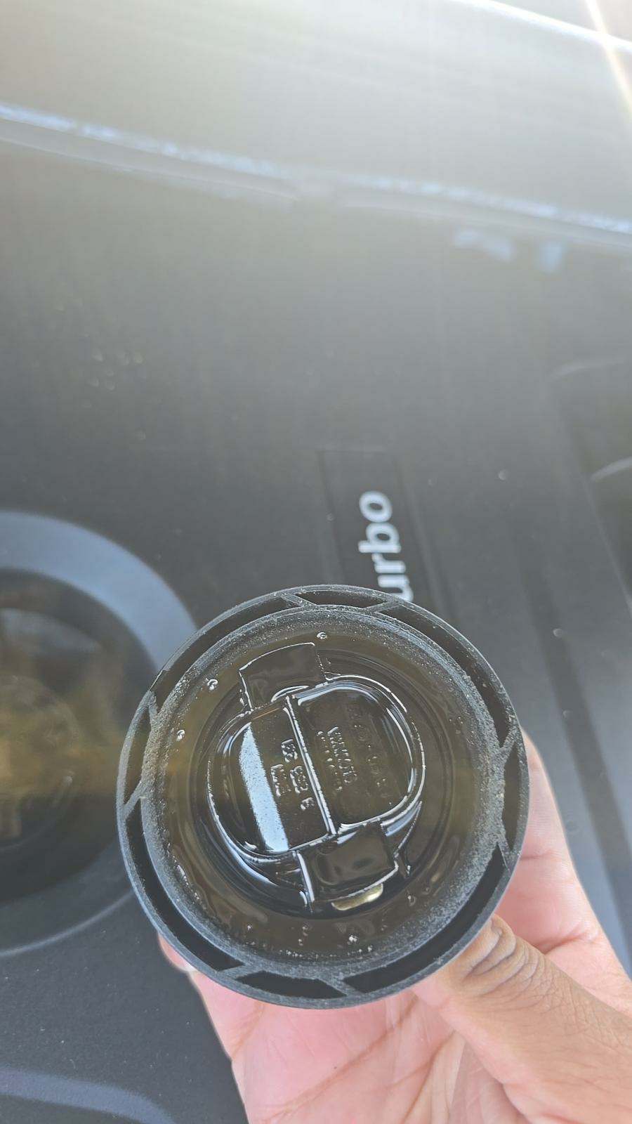 2019 BMW X4 xDrive30i AWD