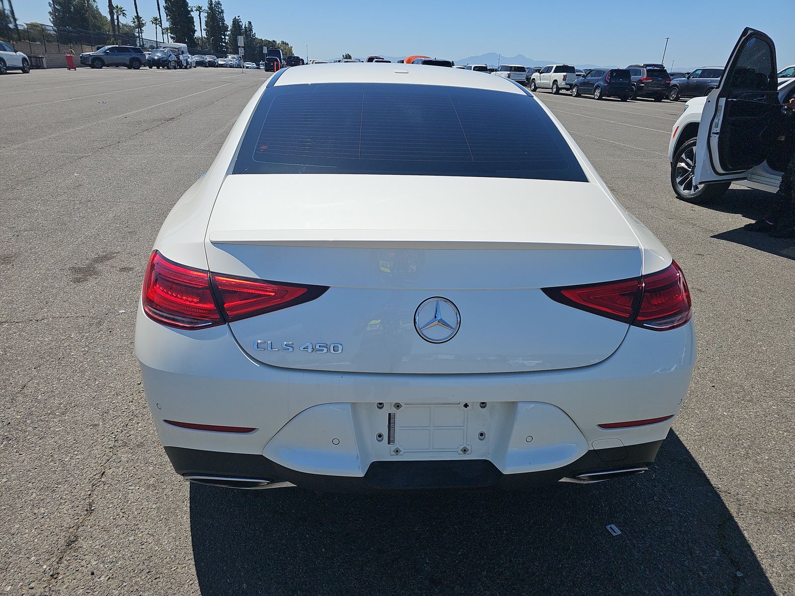 2019 Mercedes-Benz CLS-Class CLS 450 RWD