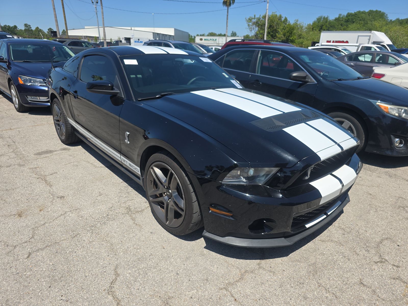 2010 Ford Mustang Shelby GT500 RWD