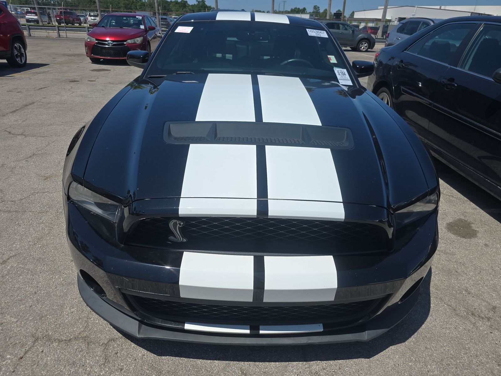 2010 Ford Mustang Shelby GT500 RWD