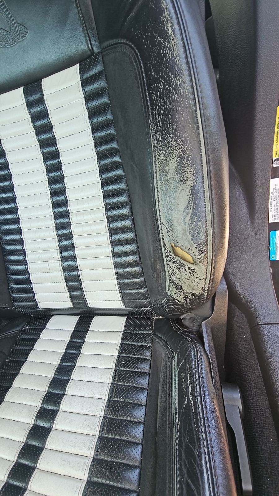 2010 Ford Mustang Shelby GT500 RWD