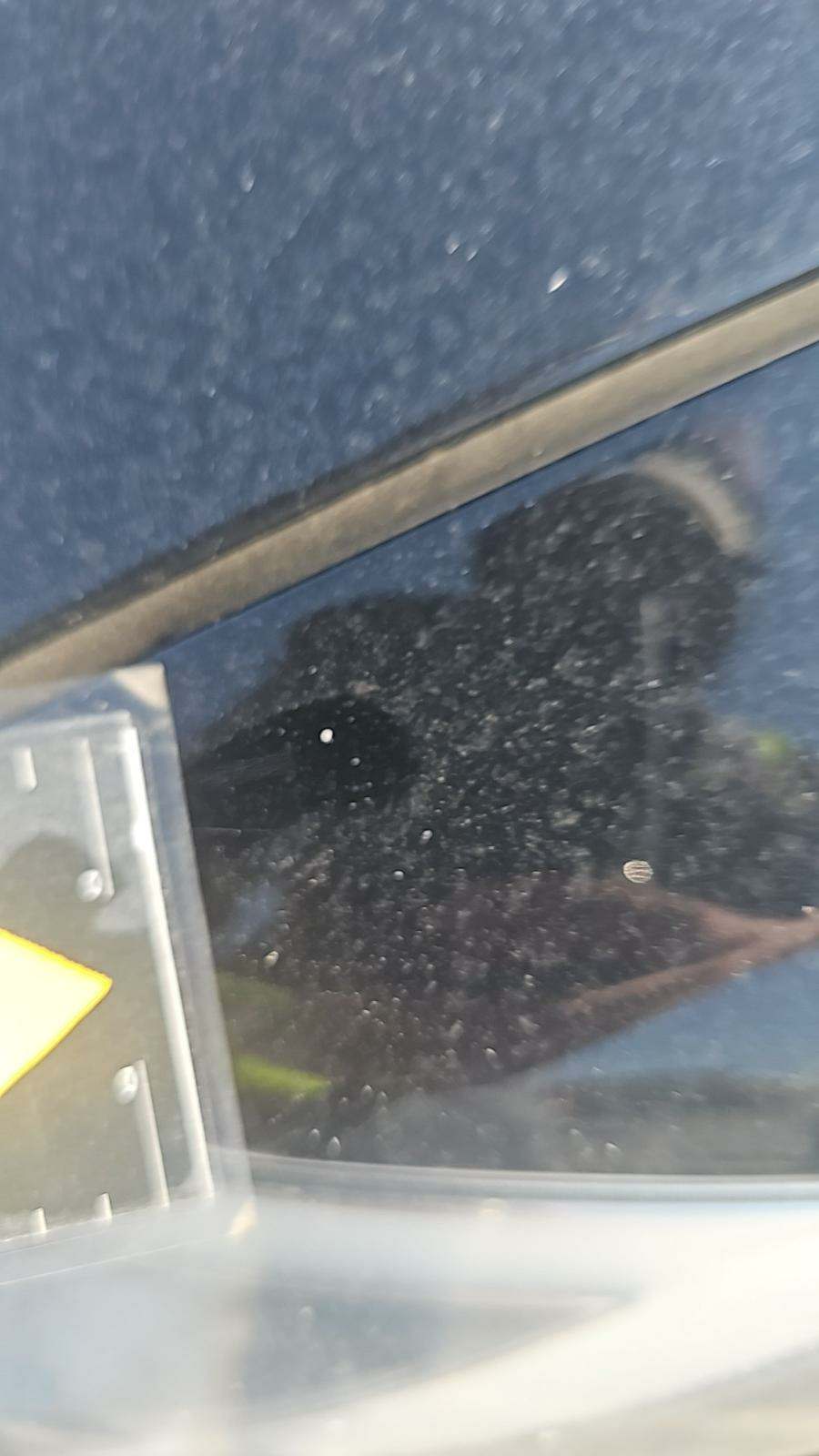 2021 Tesla Model S Plaid AWD