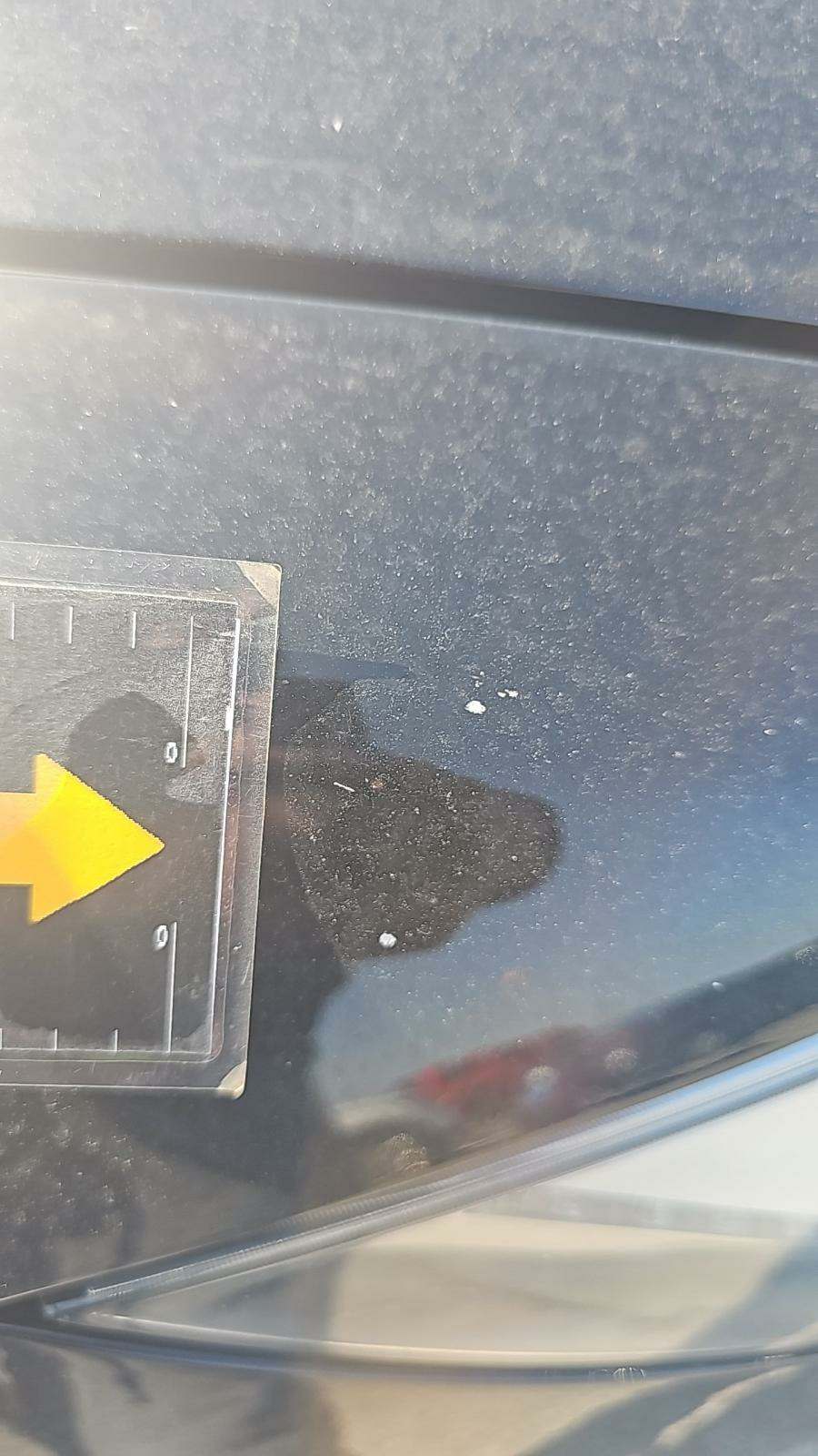 2021 Tesla Model S Plaid AWD