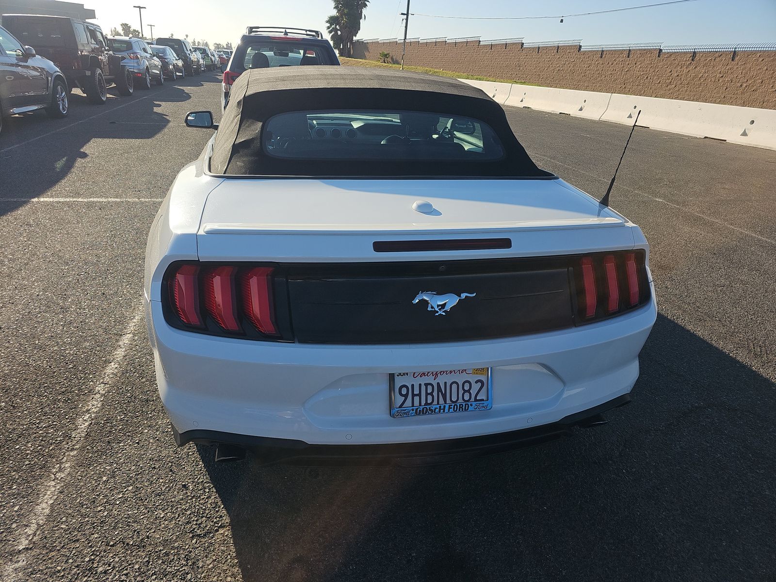 2020 Ford Mustang EcoBoost Premium RWD