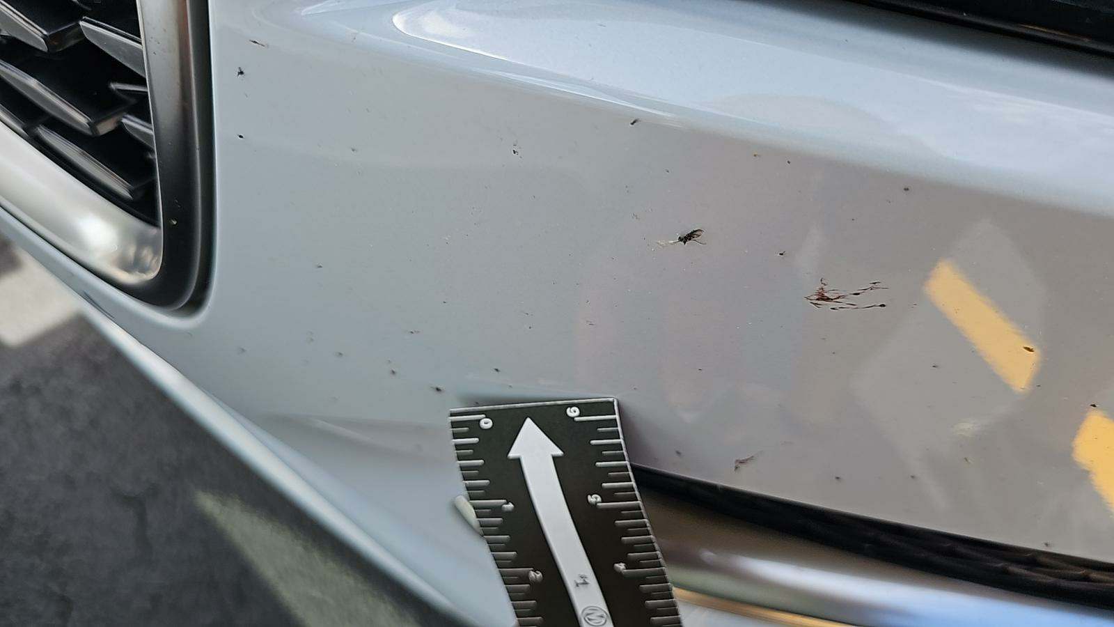 2021 Jaguar F-PACE P340 S AWD