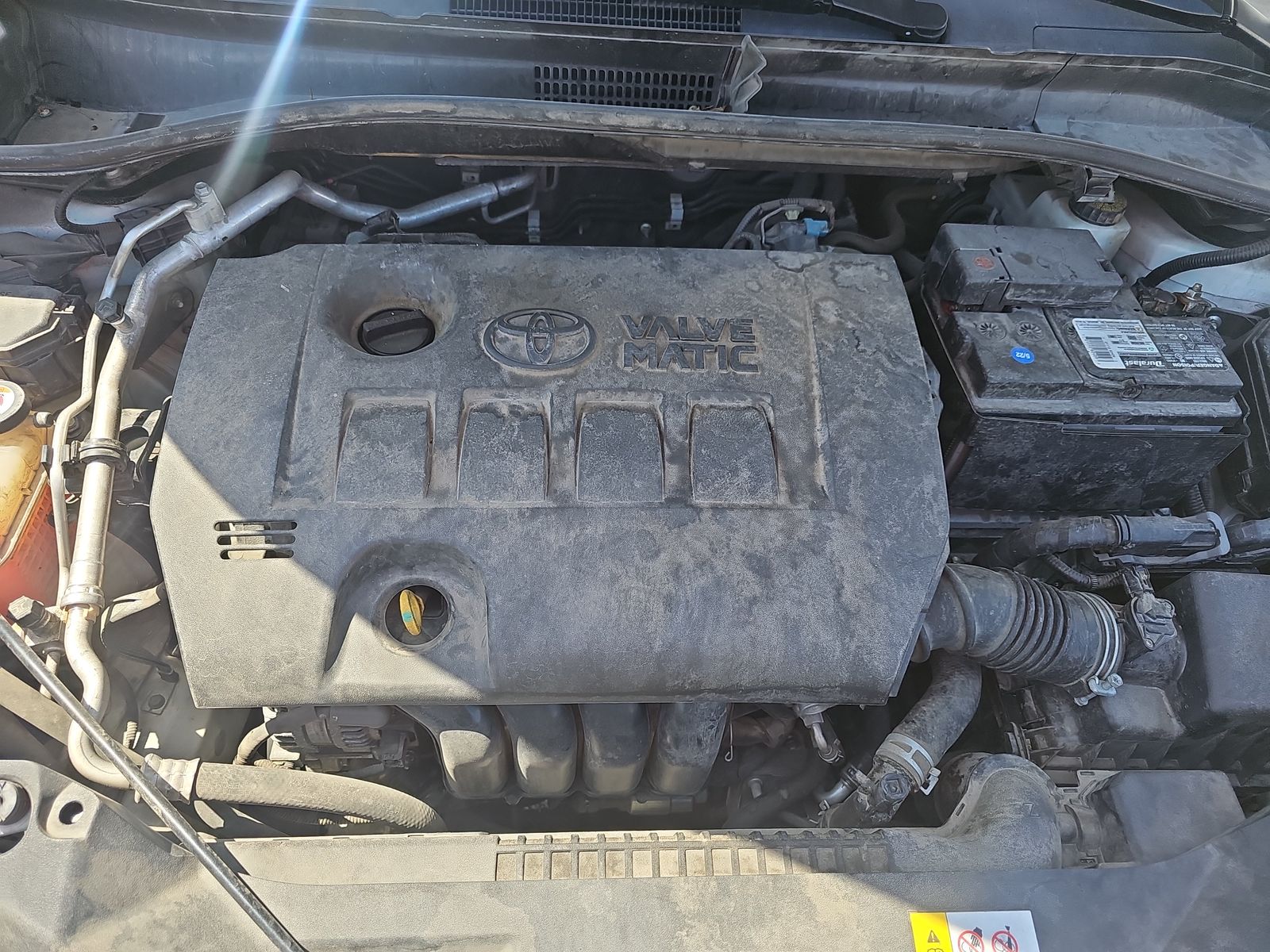 2019 Toyota C-HR XLE FWD