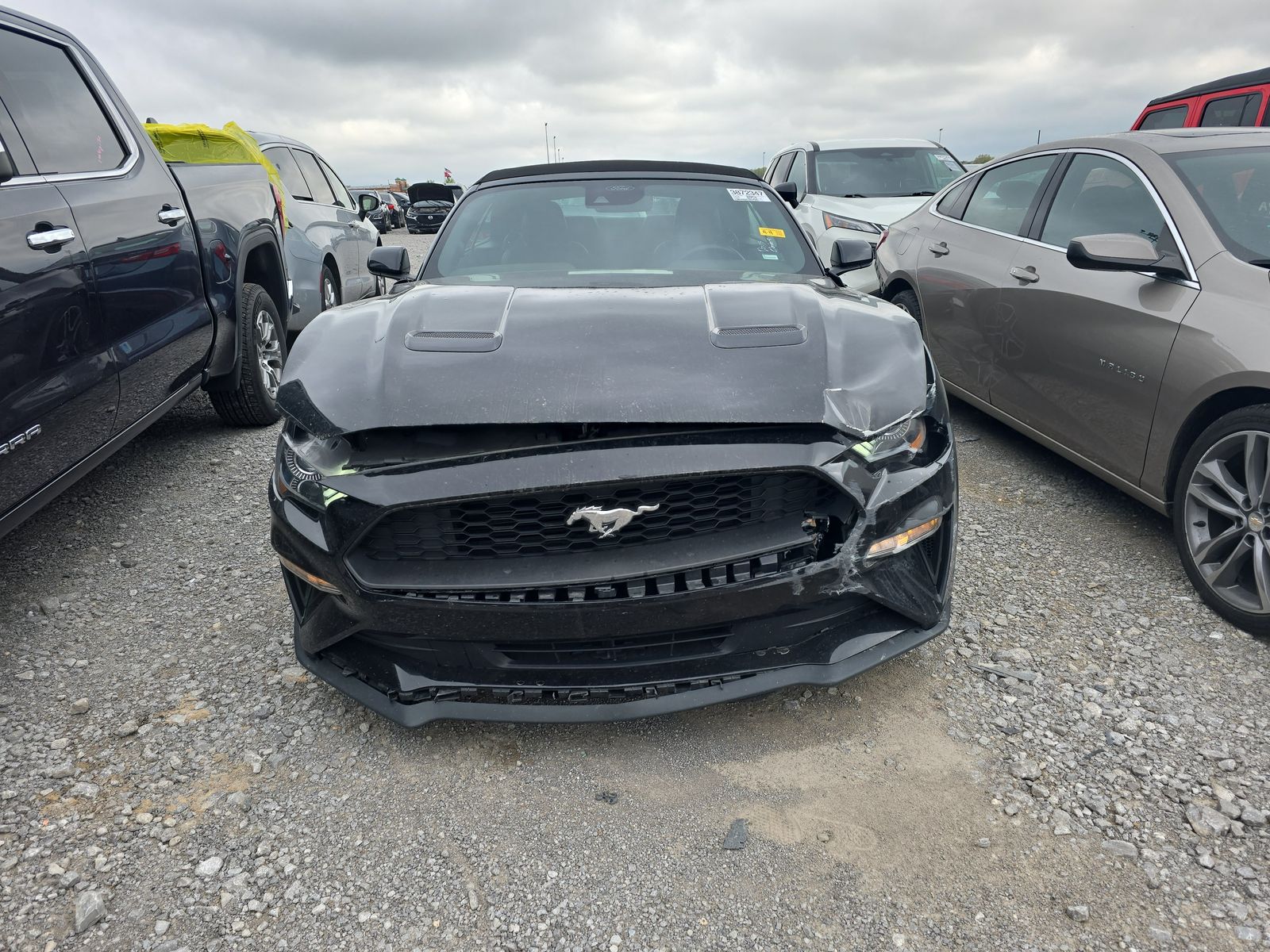 2022 Ford Mustang EcoBoost Premium RWD