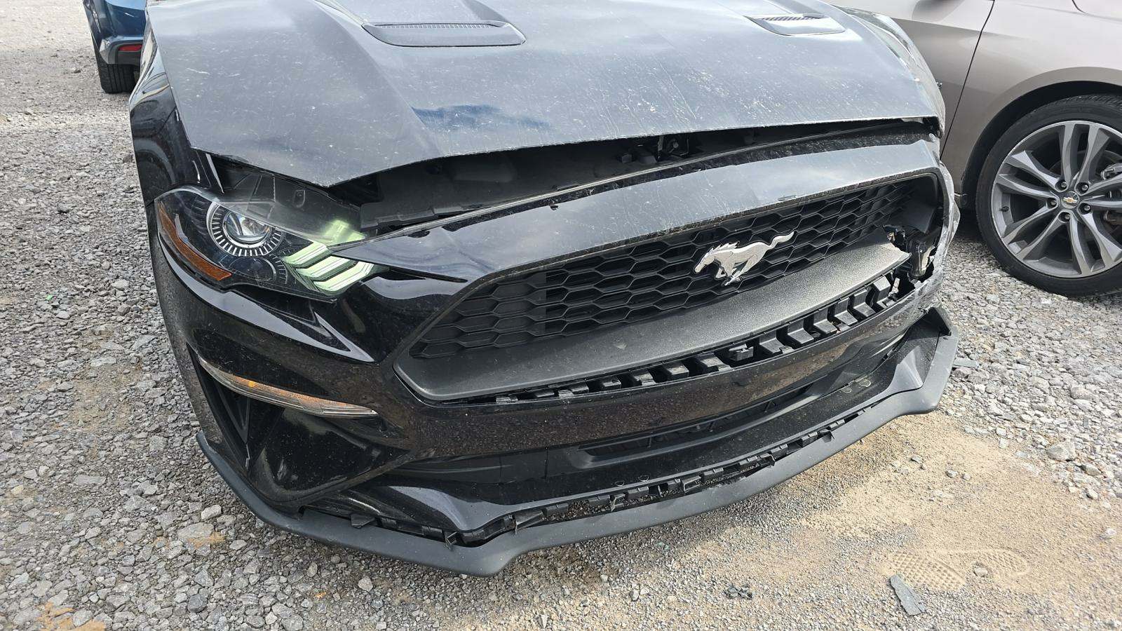 2022 Ford Mustang EcoBoost Premium RWD