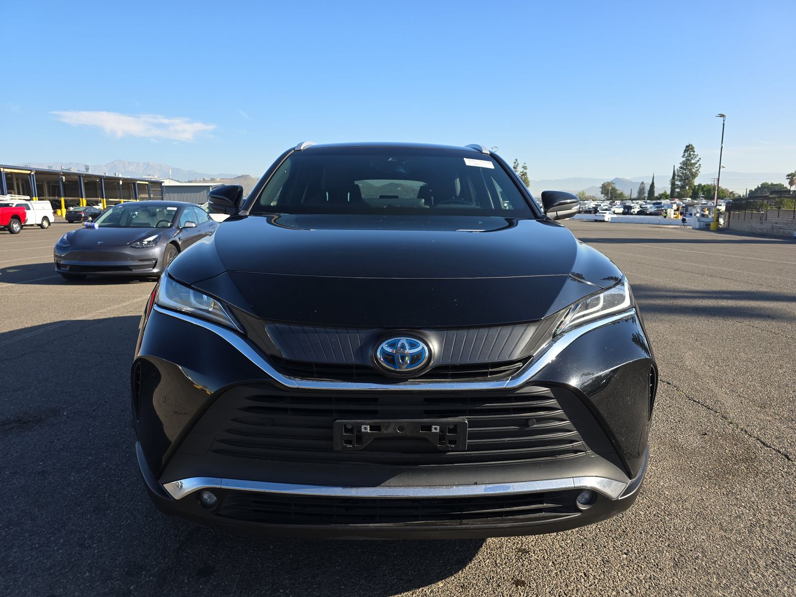 2023 Toyota Venza XLE AWD