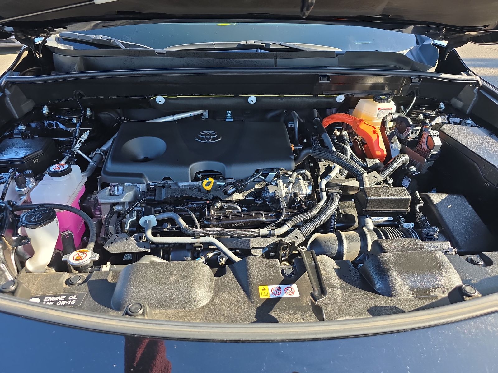 2023 Toyota Venza XLE AWD