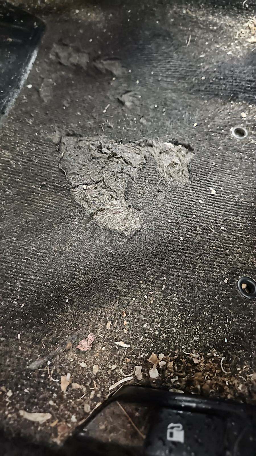 2010 Toyota Yaris Base FWD