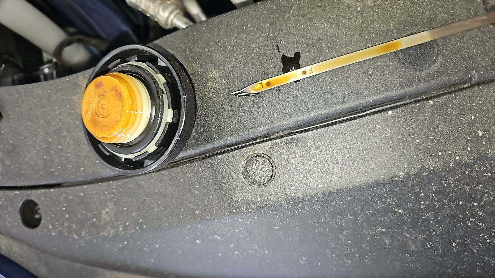 2024 Hyundai Elantra Limited FWD