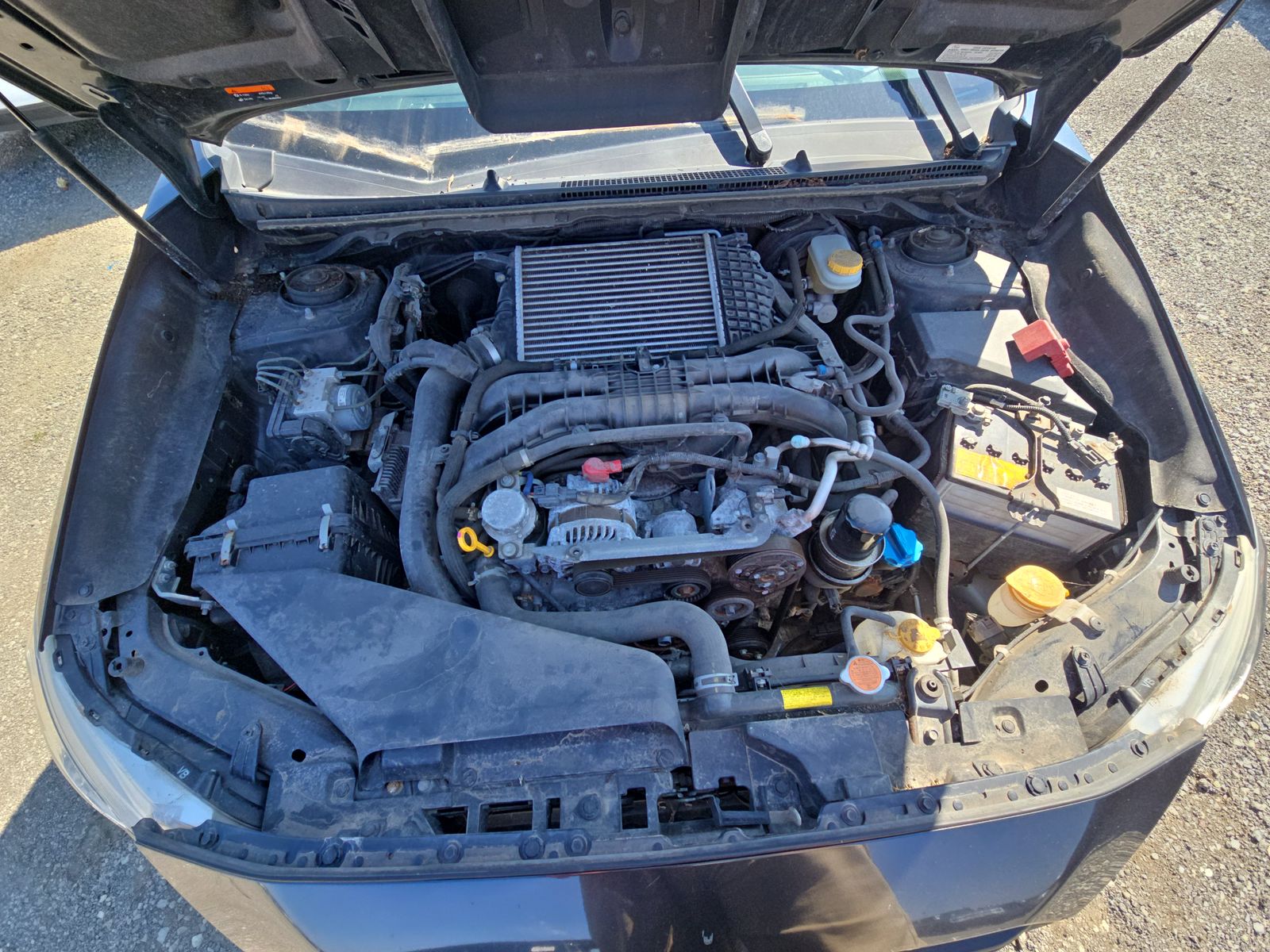 2018 Subaru WRX Base AWD