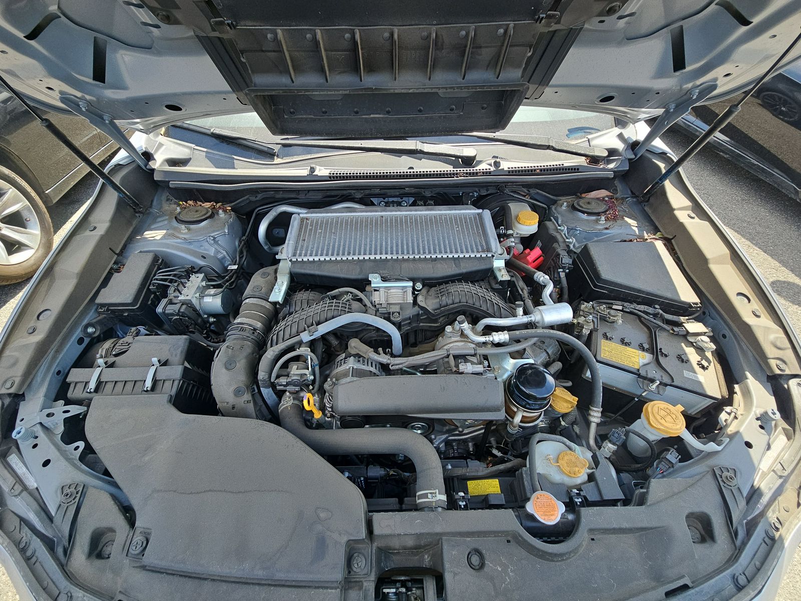 2023 Subaru WRX Premium AWD