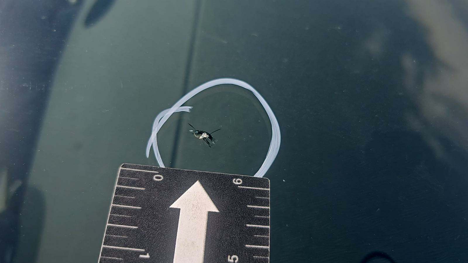 2011 Toyota Prius Three FWD