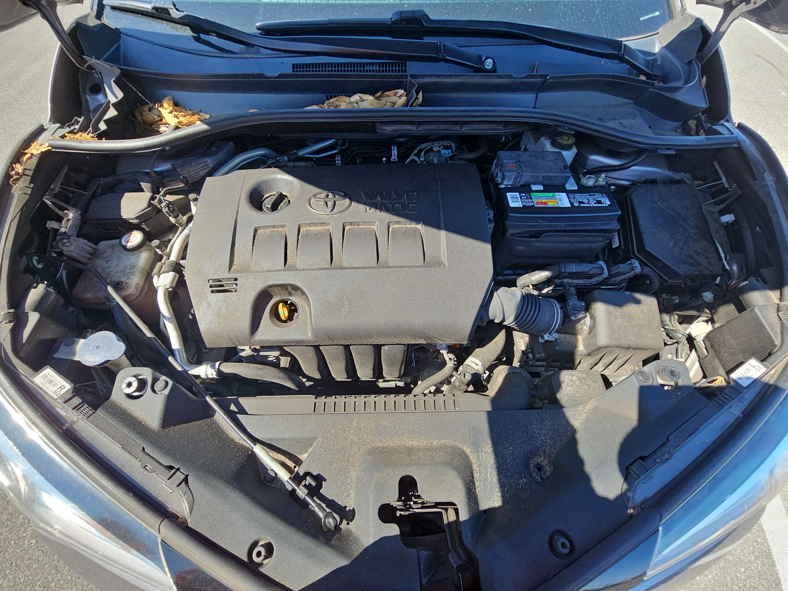 2019 Toyota C-HR XLE FWD