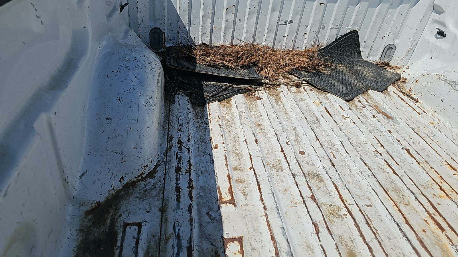 2010 Ford F-150 XLT FWD