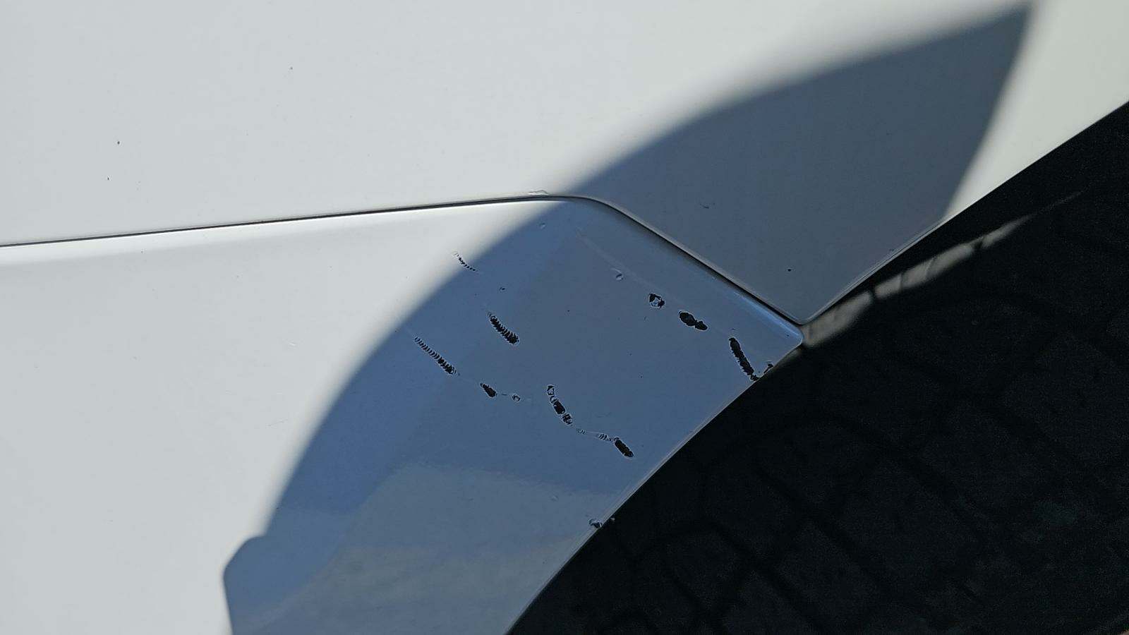 2010 Ford F-150 XLT FWD