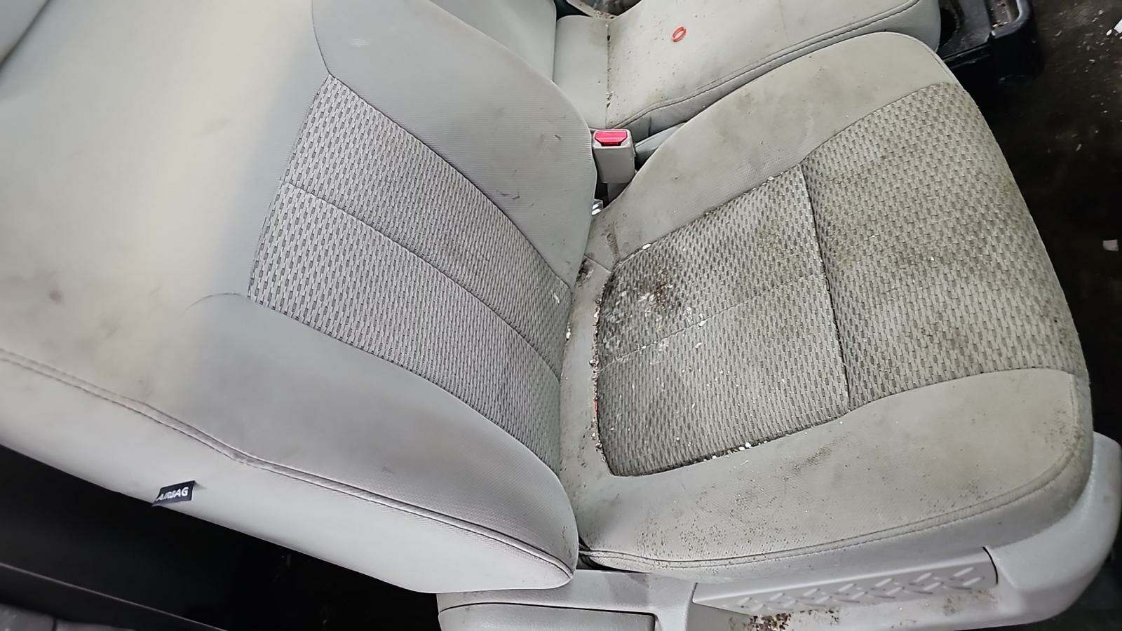 2010 Ford F-150 XLT RWD