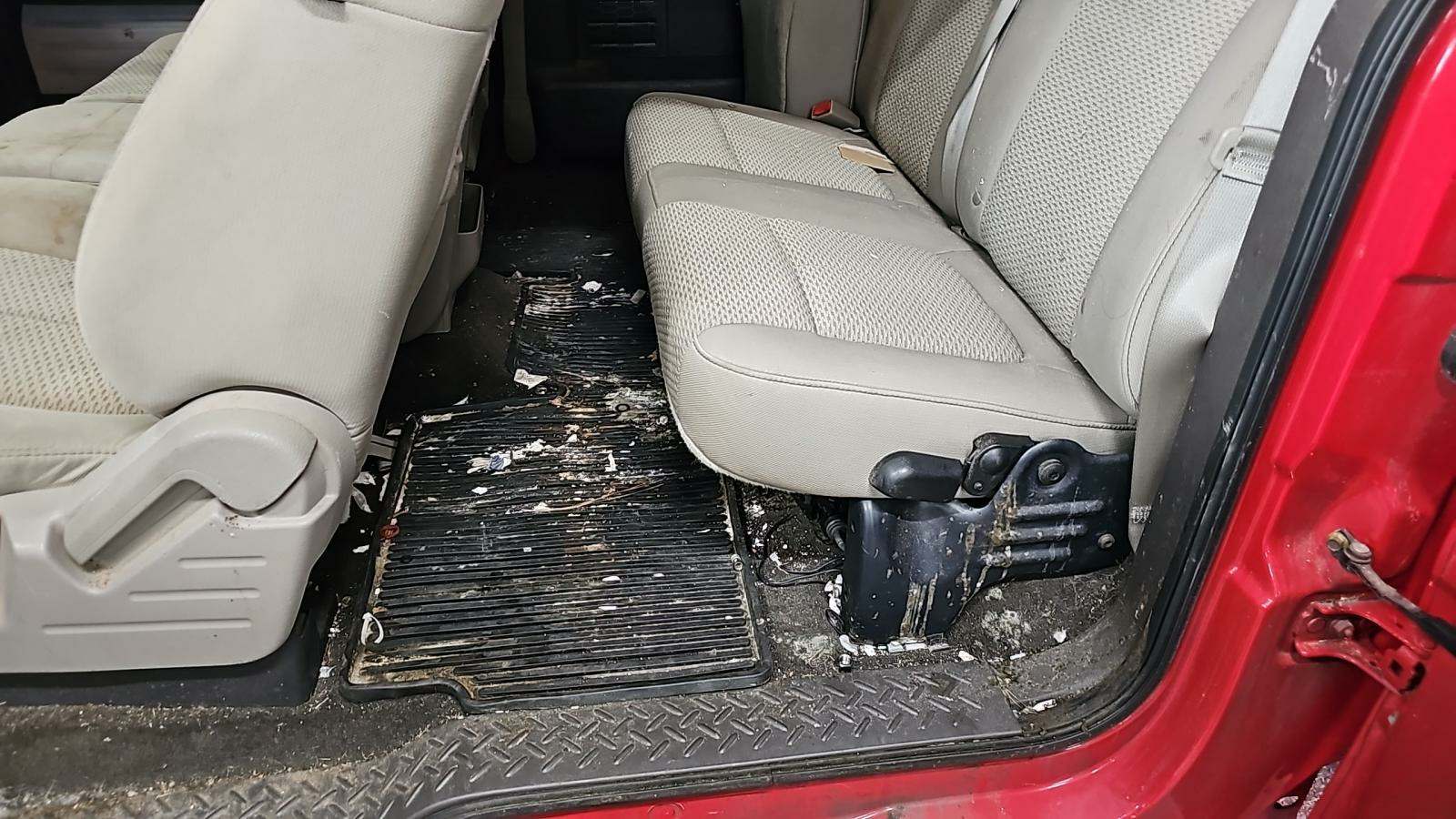 2010 Ford F-150 XLT RWD