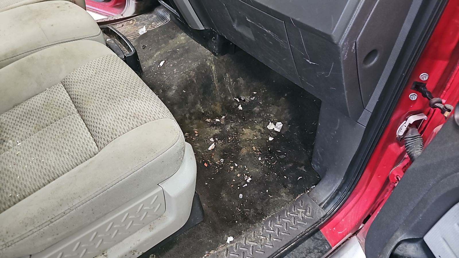 2010 Ford F-150 XLT RWD