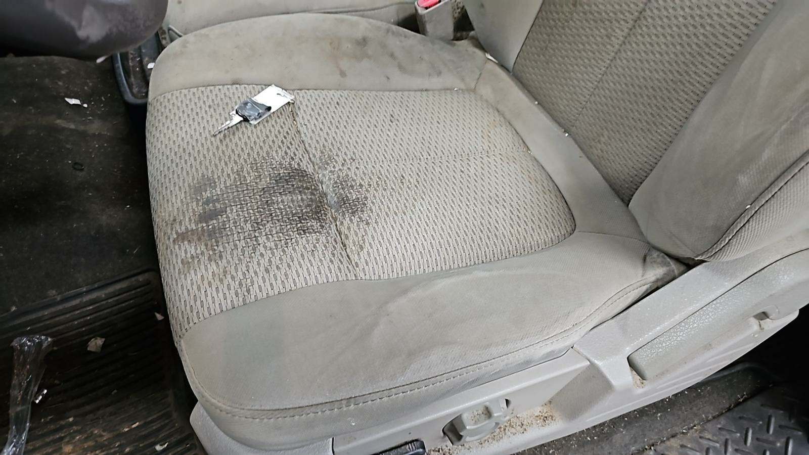 2010 Ford F-150 XLT RWD