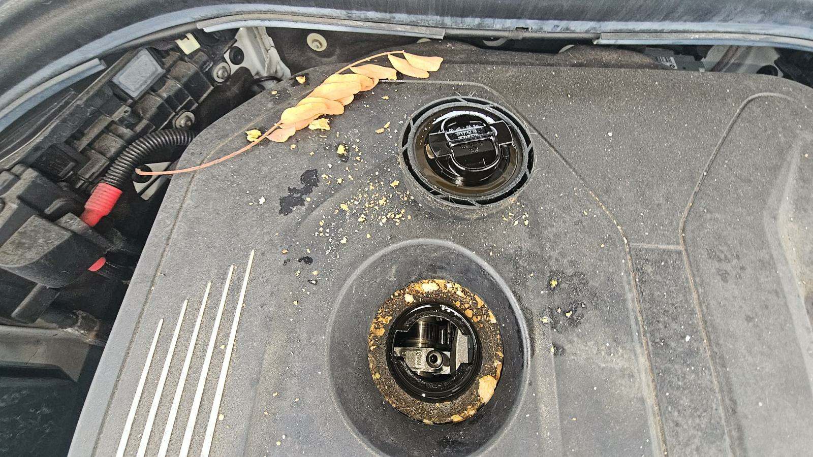 2019 BMW 5 Series 540i xDrive AWD