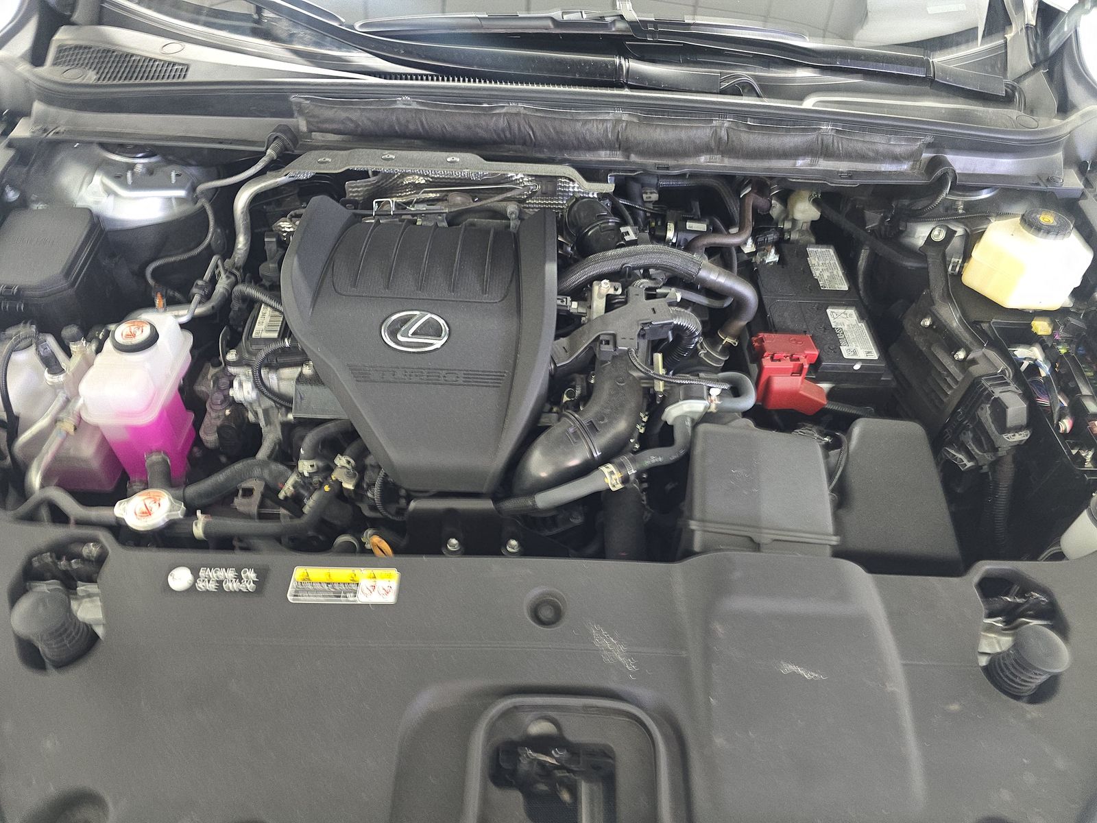 2024 Lexus RX RX 350 AWD