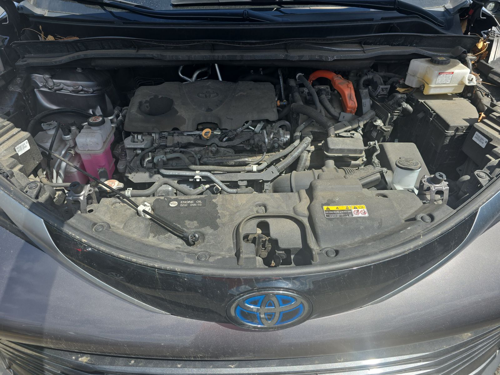 2022 Toyota Sienna Platinum AWD