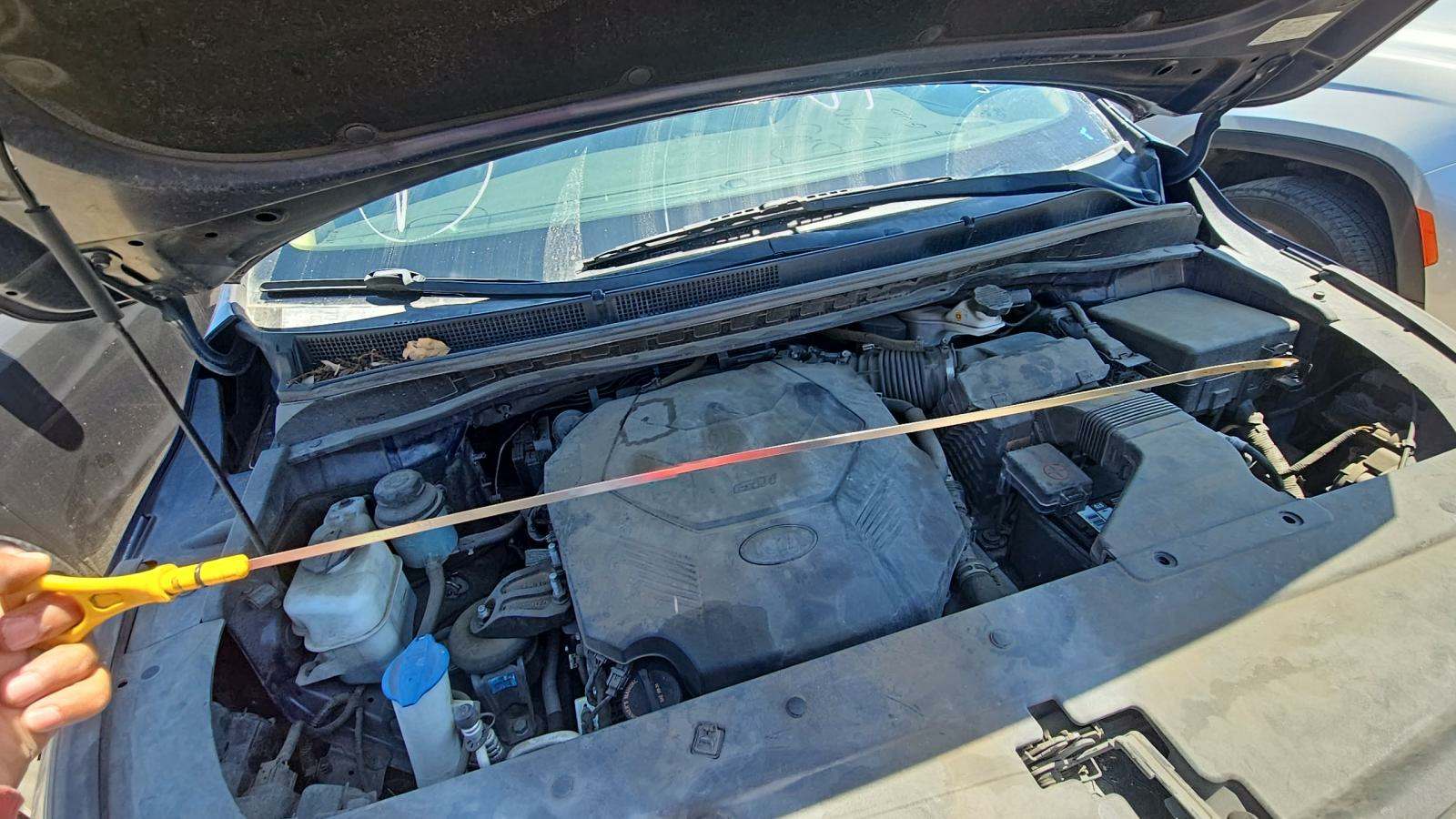 2019 Kia Sedona LX FWD