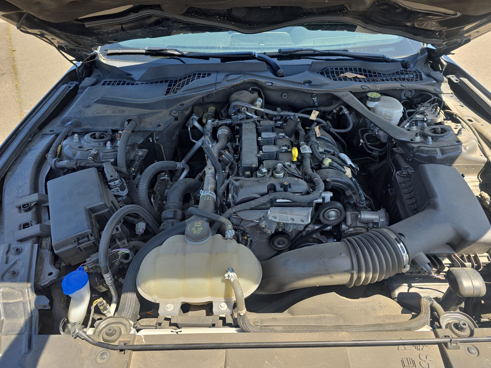 2023 Ford Mustang EcoBoost Premium RWD