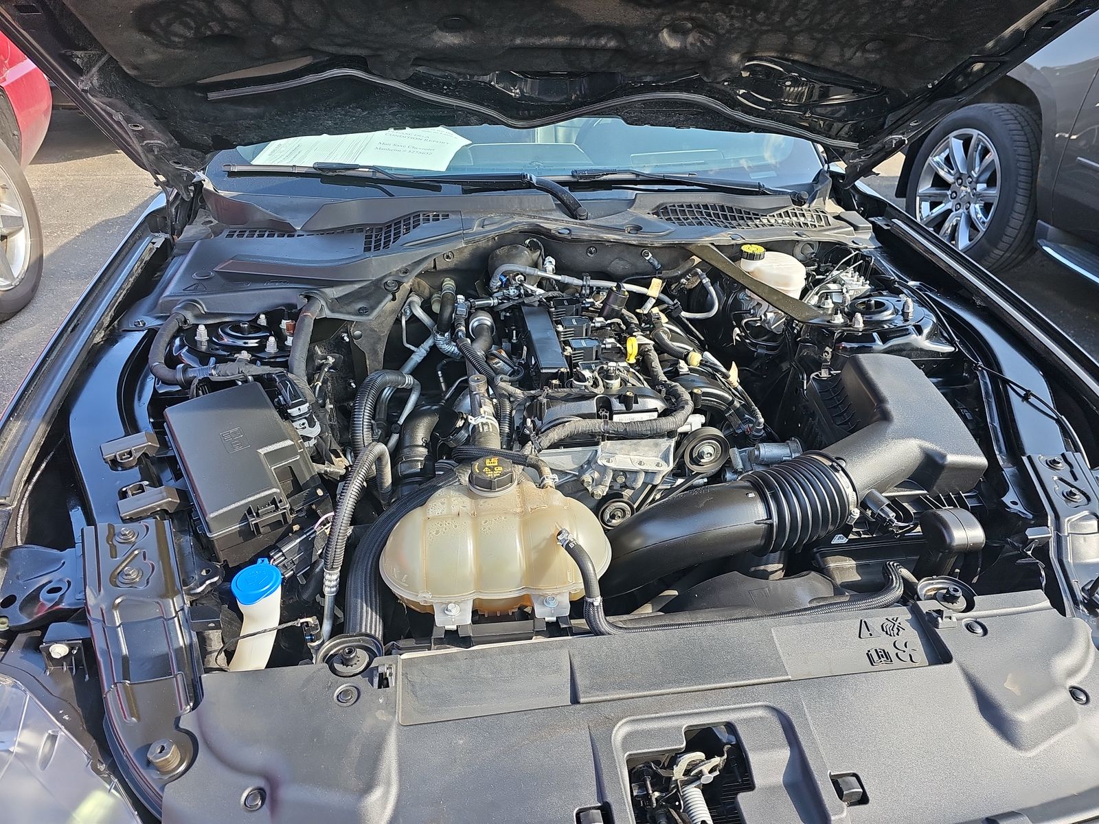 2022 Ford Mustang EcoBoost Premium RWD