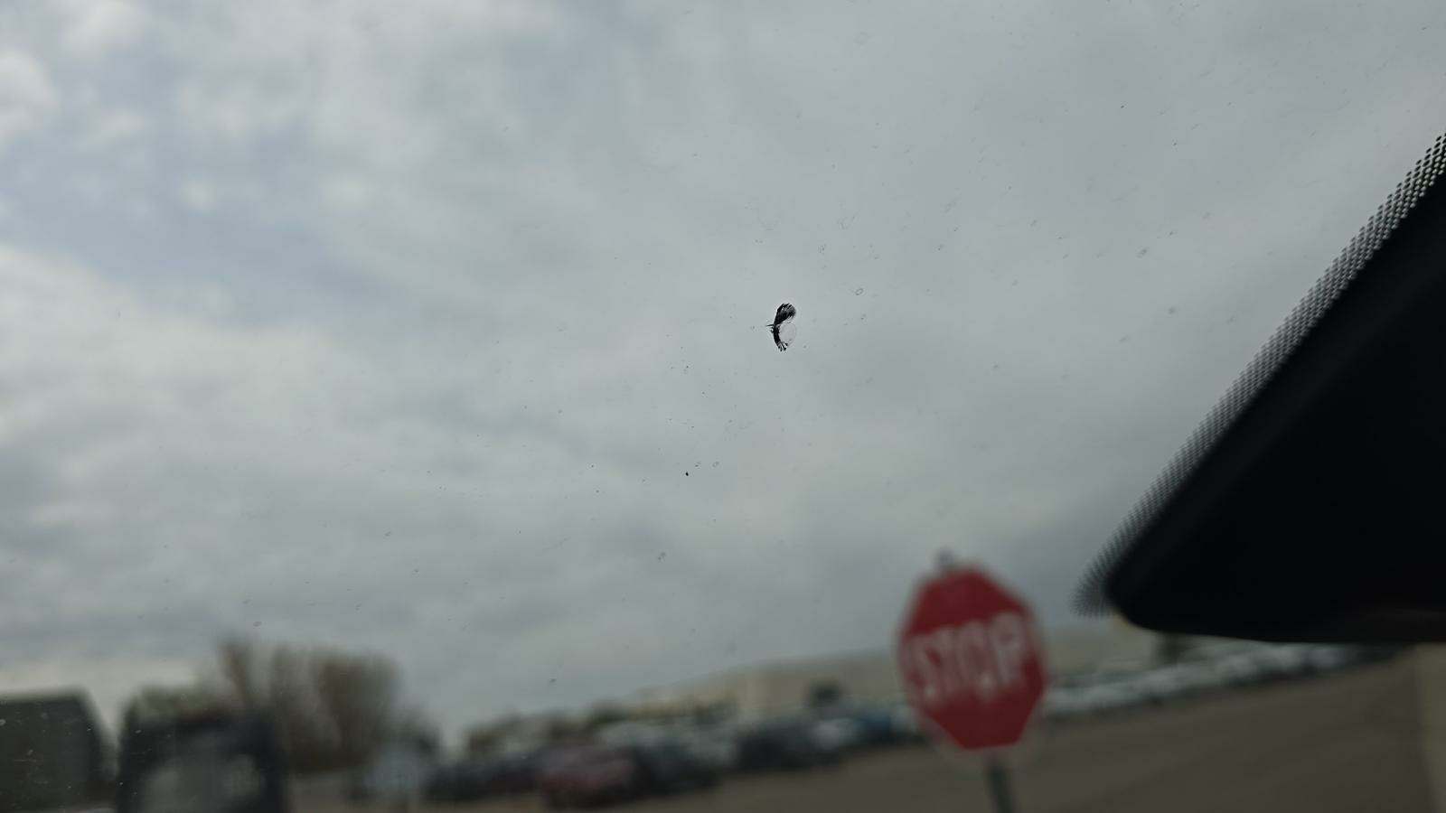 2019 Chrysler Pacifica Touring L FWD