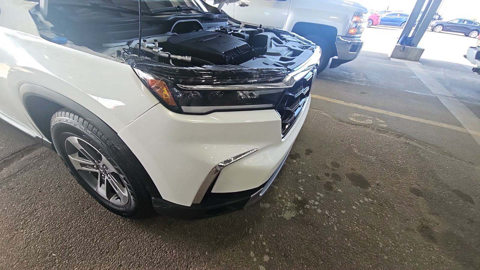 2023 Honda Pilot EX-L AWD